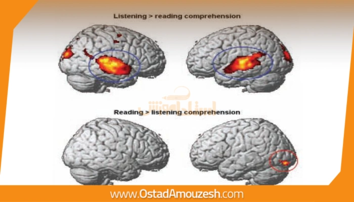 تکنولوژی و یادگیری زبان در عصر جدید